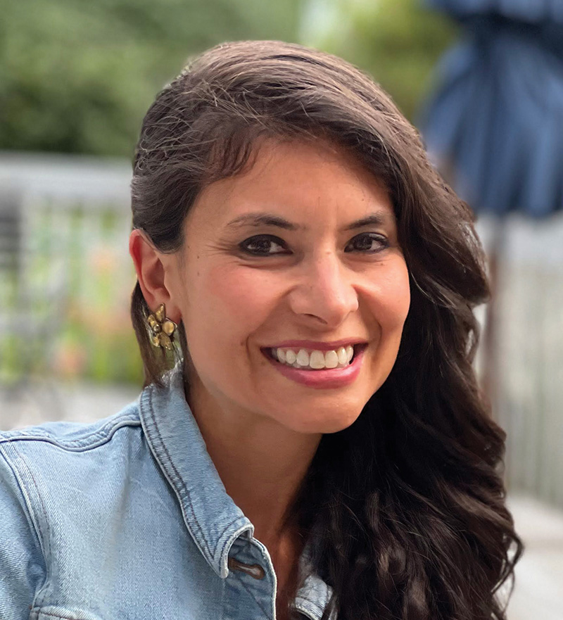 Lisa N. Pavic